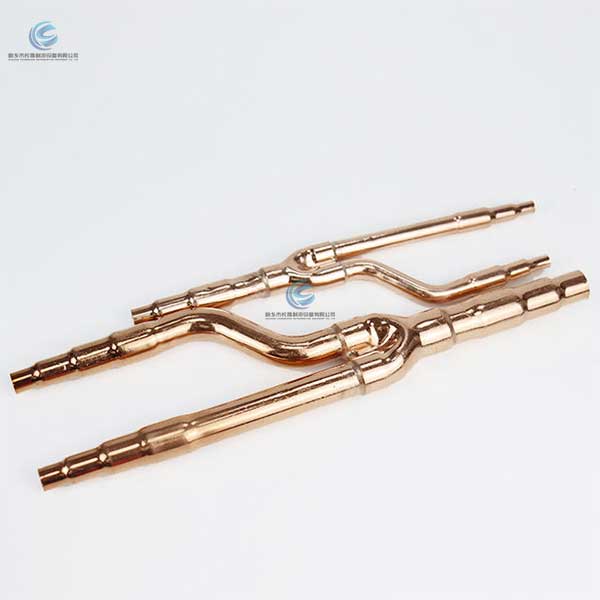 Branch pipe